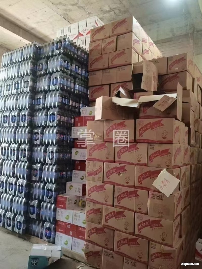 沈阳商贸公司的新气象：电商化与多元化发展趋势